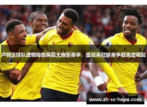 卢顿足球队遗憾降级英超无缘新赛季，重返英冠联赛争取再度崛起